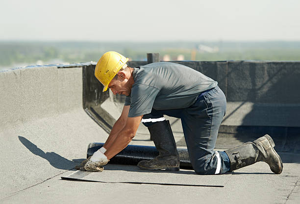 Best Commercial Insulation in Mcewen, TN